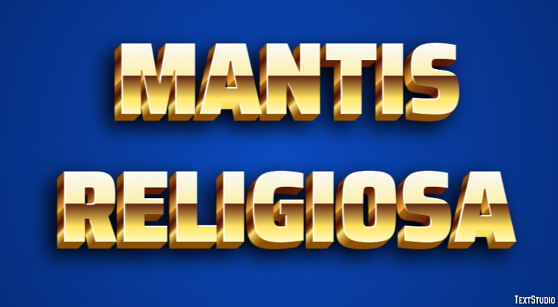 Mantis religiosa Efecto de texto