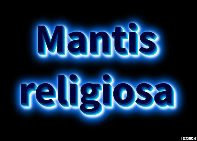 Mantis religiosa テキスト効果
