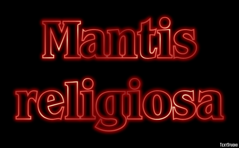 Mantis religiosa Efecto de texto