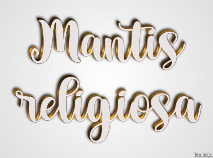Mantis religiosa Efecto de texto