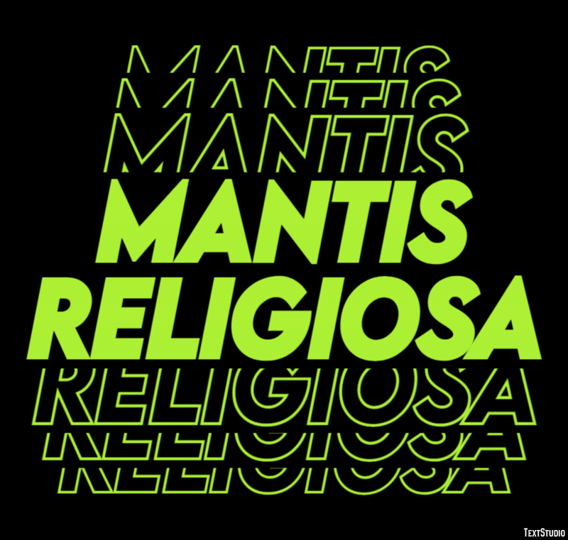 Mantis religiosa Efecto de texto