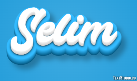 Selim Effet de Texte