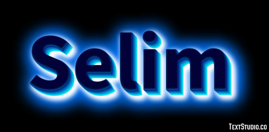Selim Metin efekti