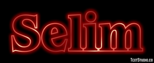 Selim Metin efekti