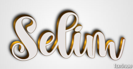 Selim Metin efekti