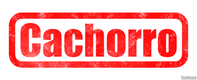 Cachorro テキスト効果