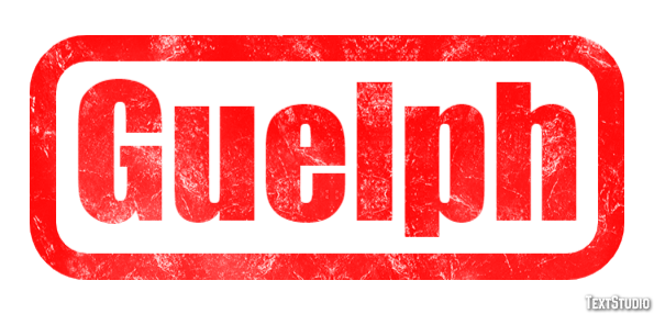 Guelph Effetto testo