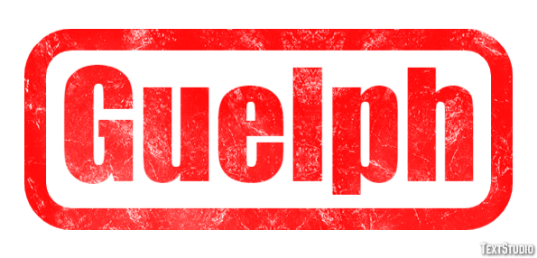 Guelph Effetto testo