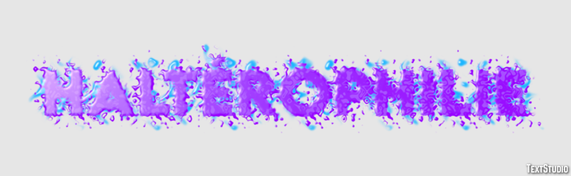 Haltérophilie Effet de Texte