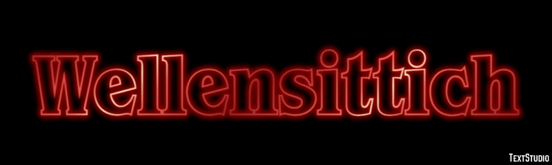Wellensittich テキスト効果