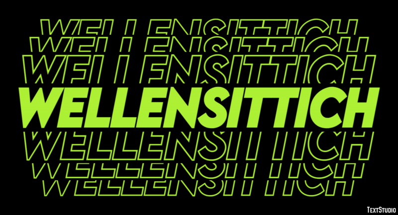 Wellensittich テキスト効果