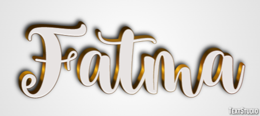 Fatma Metin Efekti
