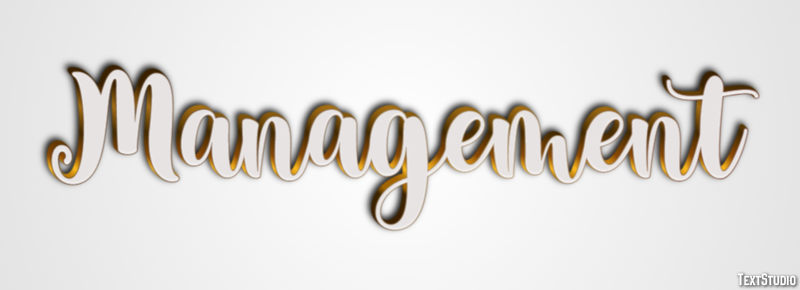 Management Text effect