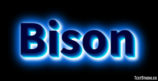 Bison Texteffekt