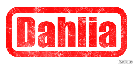 Dahlia Metin efekti