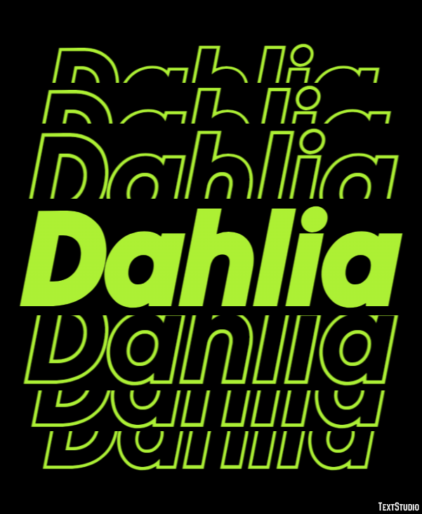 Dahlia Metin efekti