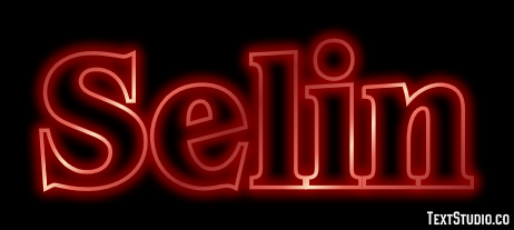 Selin Texteffekt