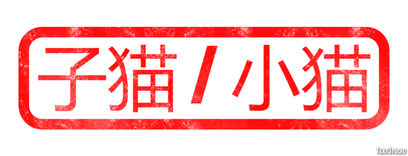 子猫 / 小猫 テキスト効果