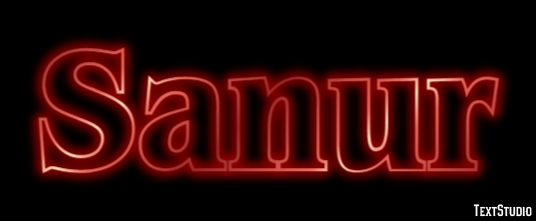 Sanur Efecto de Texto