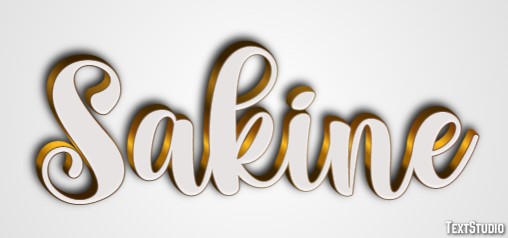 Sakine Metin Efekti