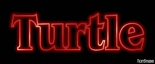 Turtle Text Effect