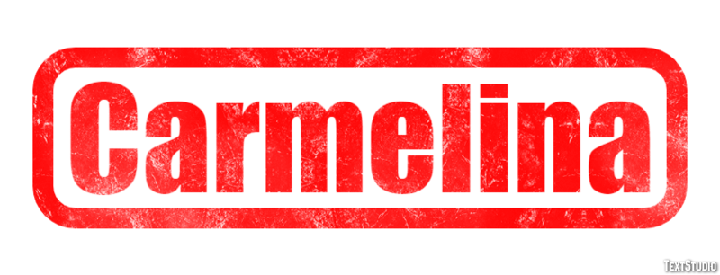 Carmelina Effetto testo