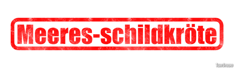 Meeres-schildkröte Texteffekt