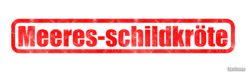 Meeres-schildkröte Texteffekt