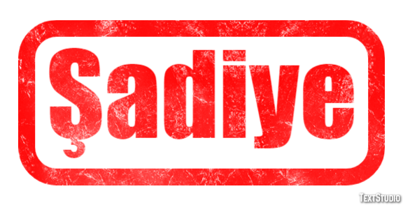 Şadiye Metin efekti