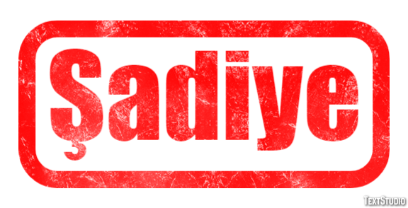 Şadiye Effetto testo