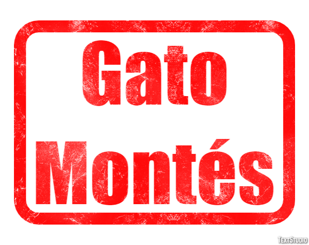 Gato Montés Efecto de texto