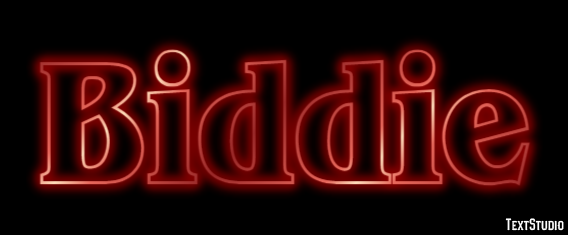 Biddie Text Effect