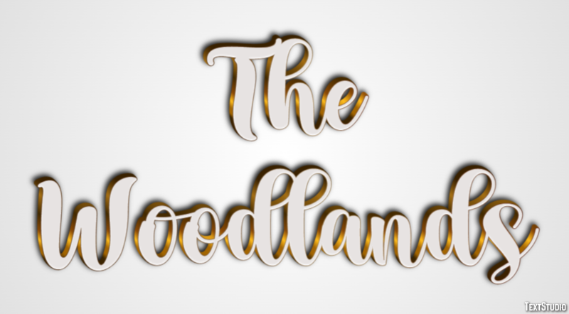 The Woodlands Efekt tekstowy