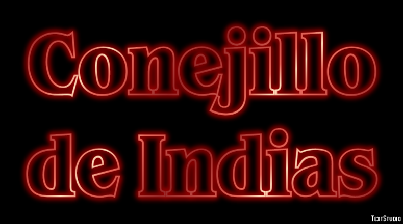 Conejillo de Indias Efecto de texto