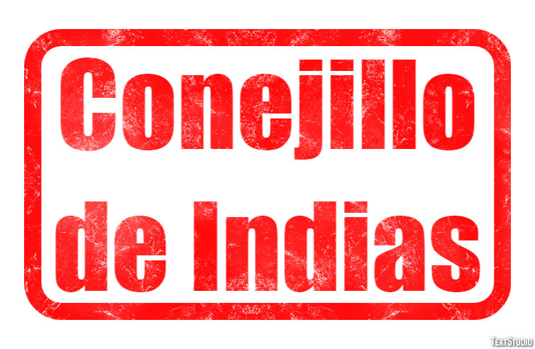 Conejillo de Indias Efecto de texto