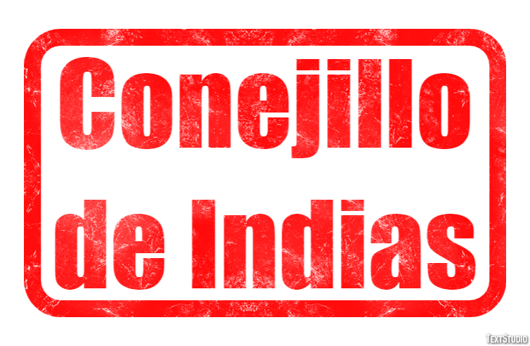 Conejillo de Indias Efecto de Texto