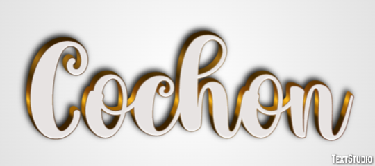 Cochon Effet de texte