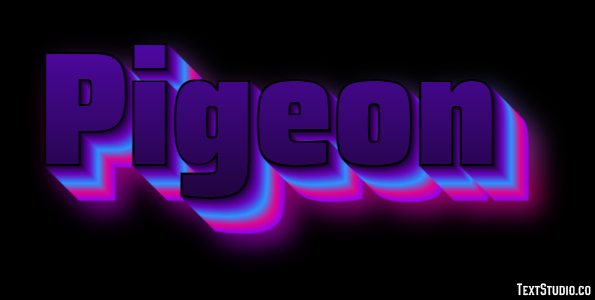 Pigeon Effet de Texte