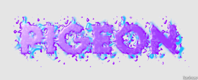 Pigeon Effet de Texte