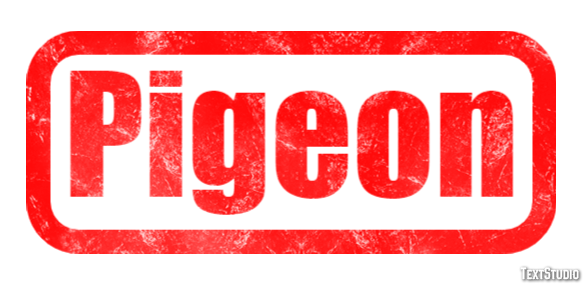 Pigeon Effet de Texte