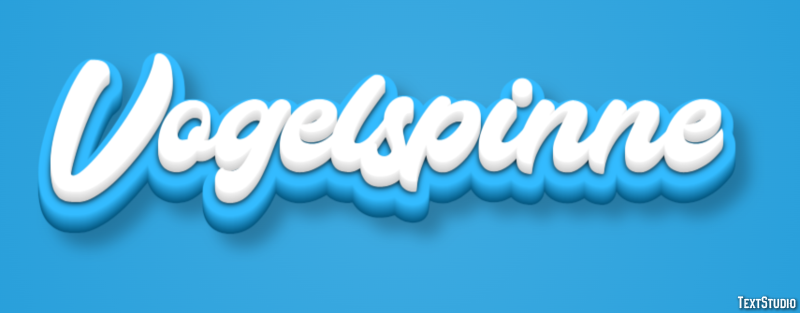 Vogelspinne Texteffekt