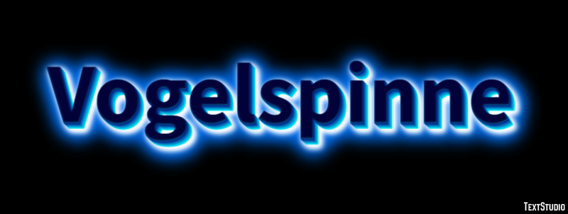 Vogelspinne Texteffekt