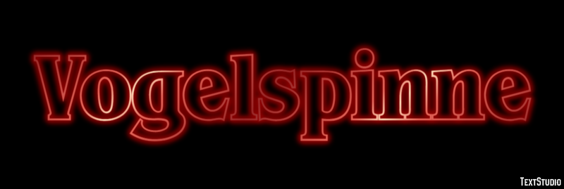 Vogelspinne Texteffekt