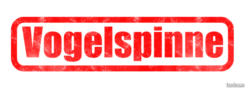 Vogelspinne Texteffekt