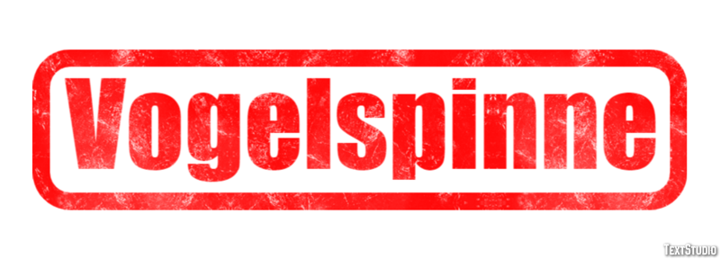 Vogelspinne Texteffekt