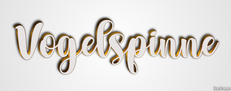 Vogelspinne テキスト効果