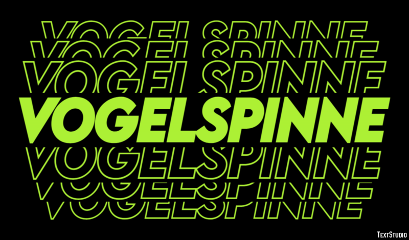 Vogelspinne Texteffekt