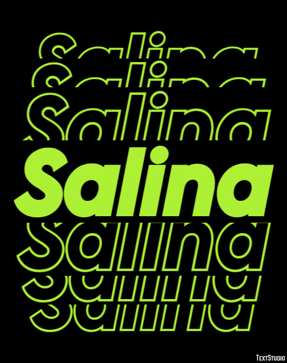 Salina Text Effect