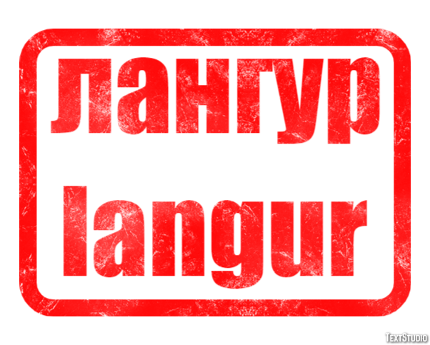 лангур langur Tekst Effect