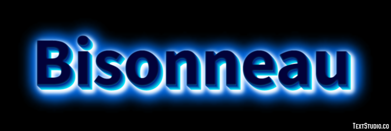 Bisonneau Effet de Texte